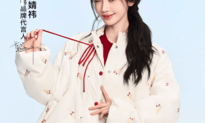 丝芭放大招了！将实名举报鞠婧祎涉嫌经济犯罪，多个合作方要担责